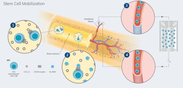 1621386273135489.jpg 1.jpg