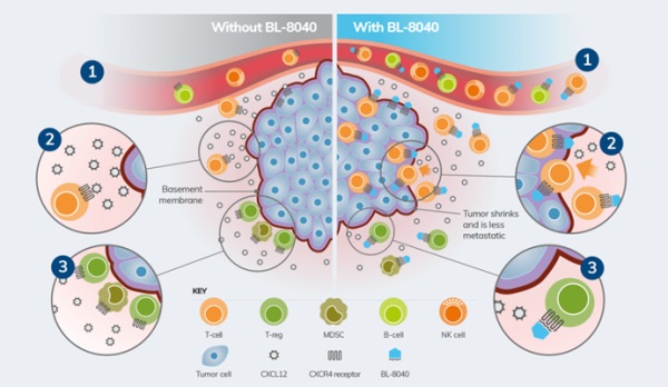 1621386284821304.jpg 2.jpg