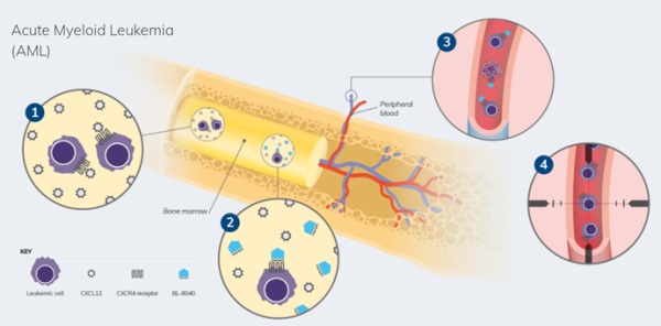 1621386317514487.jpg 4.jpg